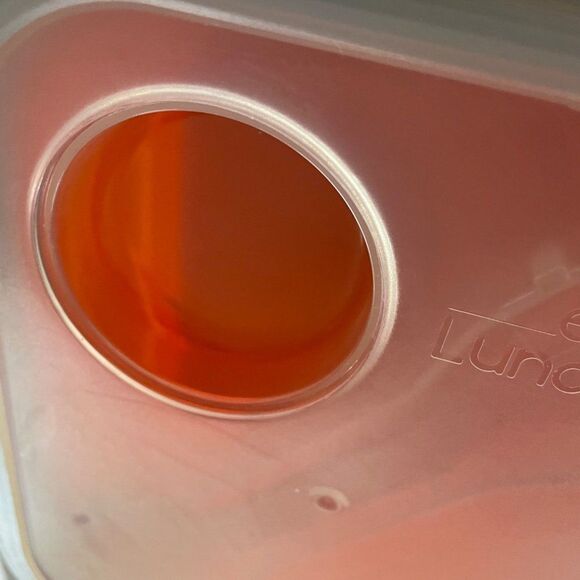 SMART Planet eco collapsible meal kit lunchbox & utensil, orange w/cover & sauce - Picture 8 of 11
